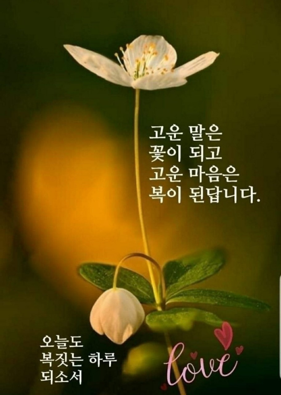 프로필사진