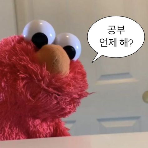 프로필사진
