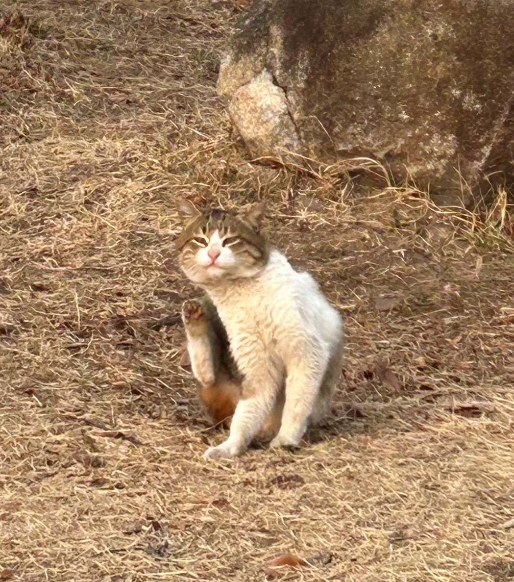 프로필사진