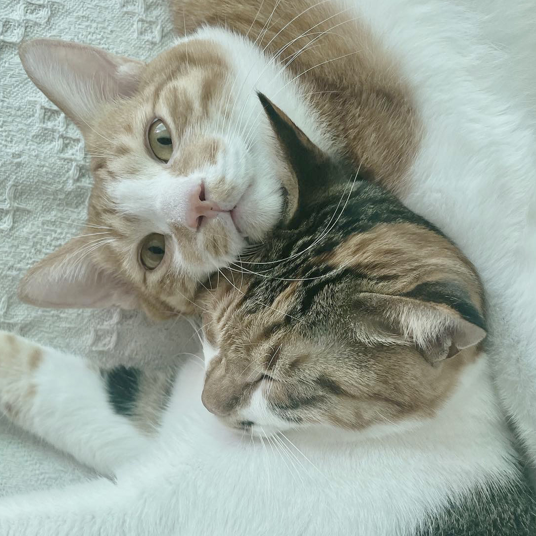 블로그 이미지