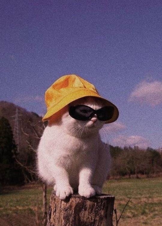 숨냥