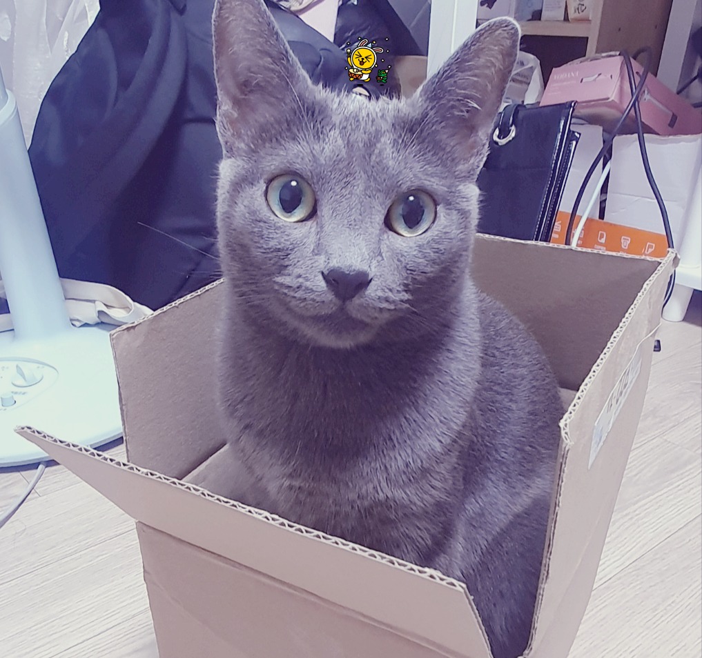 프로필사진
