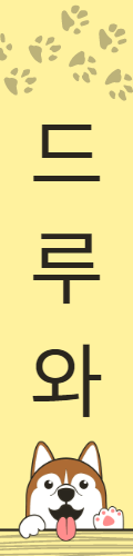 전체보기