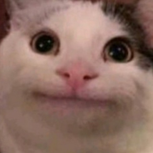 프로필사진