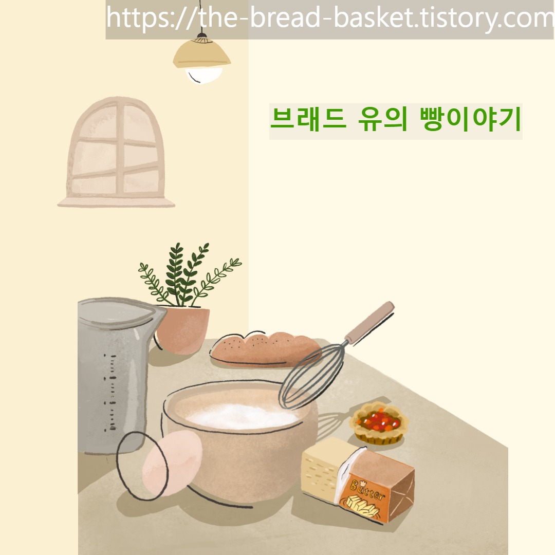프로필사진