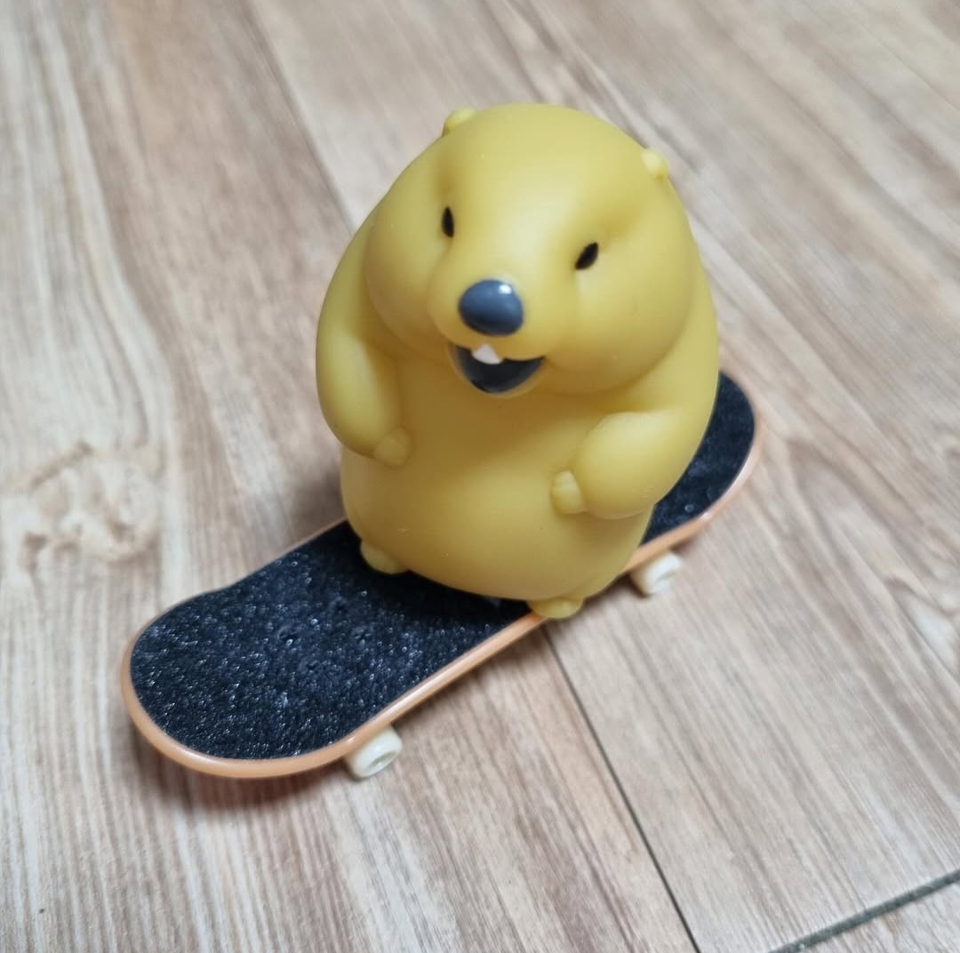 프로필사진