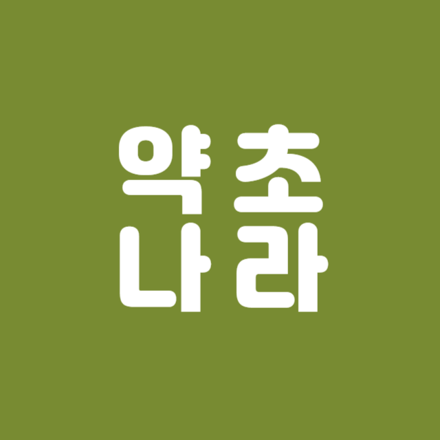 프로필사진