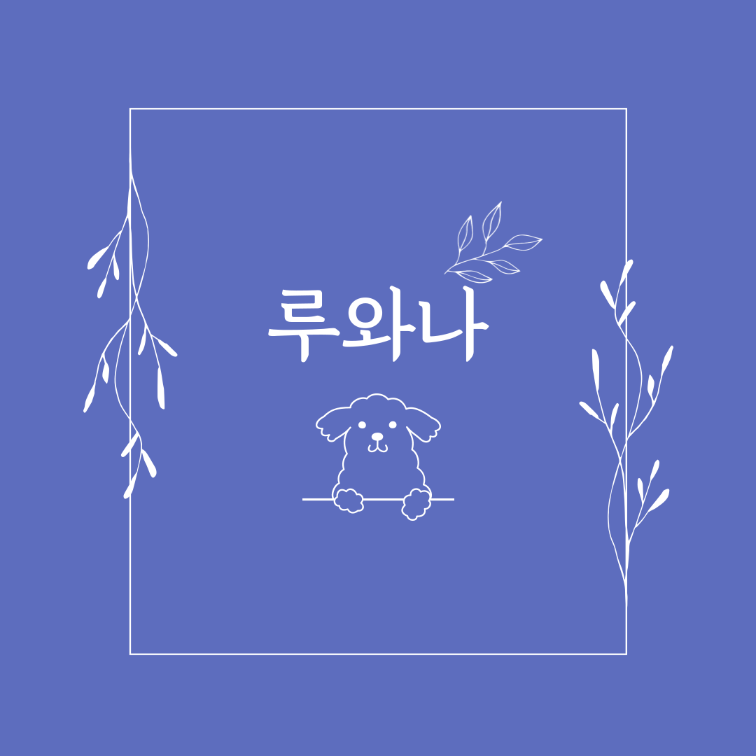 블로그 이미지