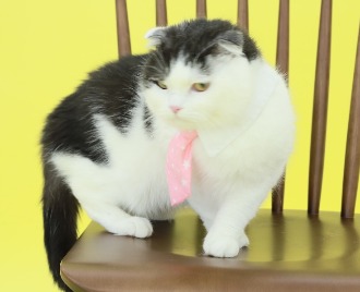 프로필사진
