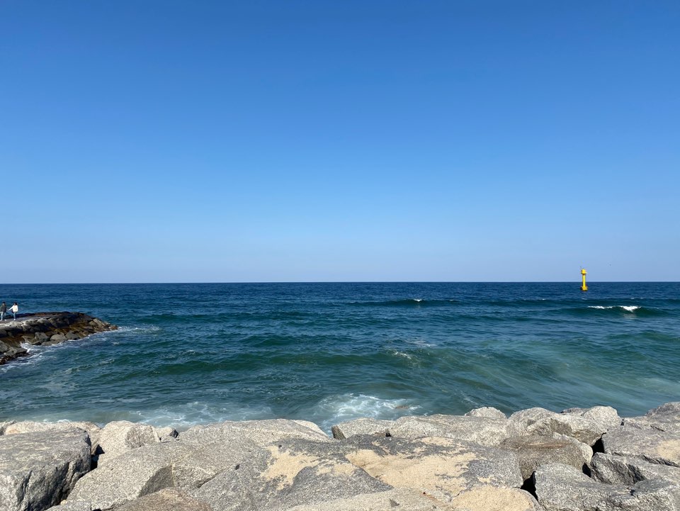 프로필사진