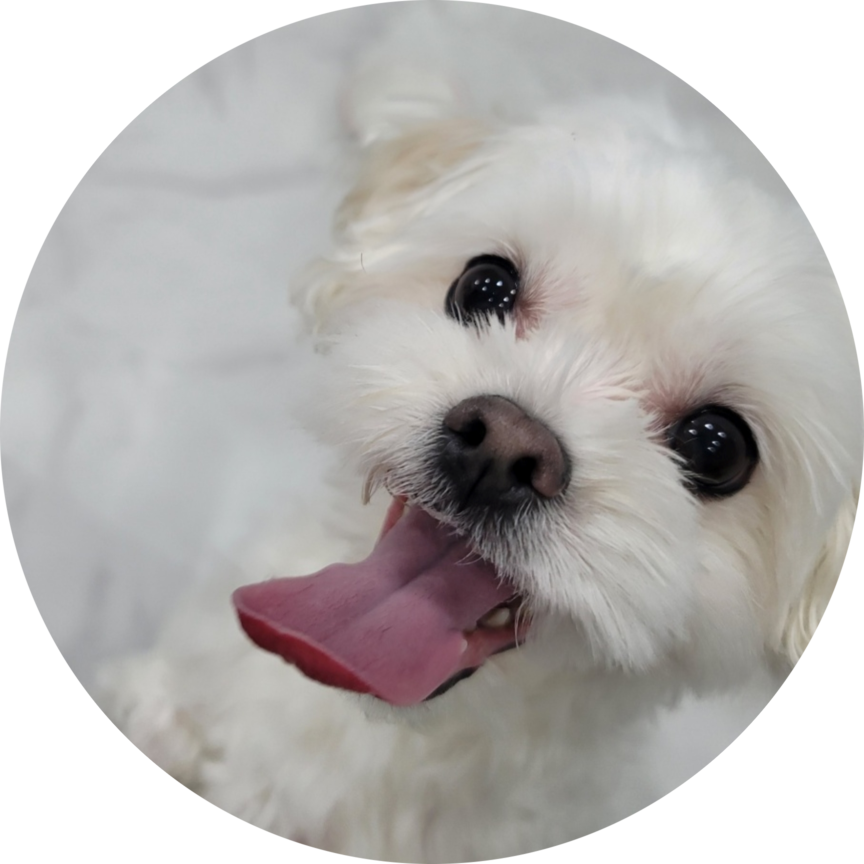 6dc232c39b7f4b56a5a25fb9d5092512