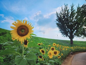 프로필사진