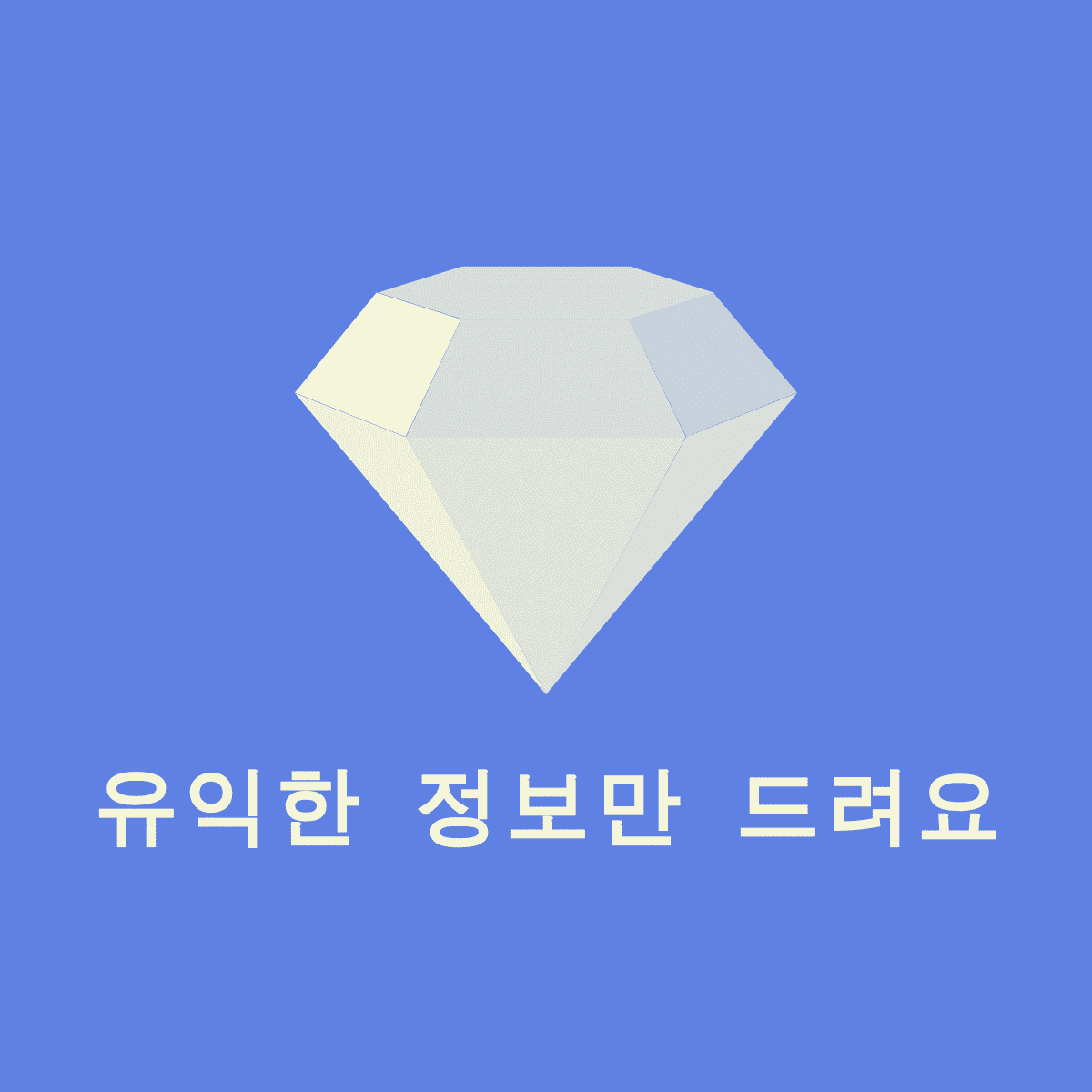 프로필사진