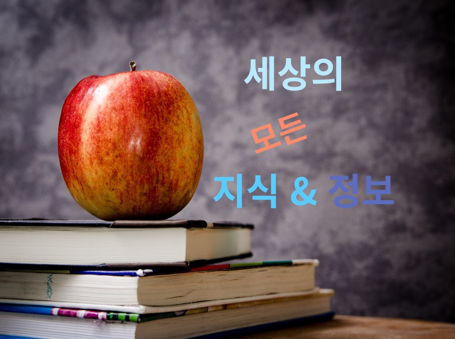 블로그 이미지