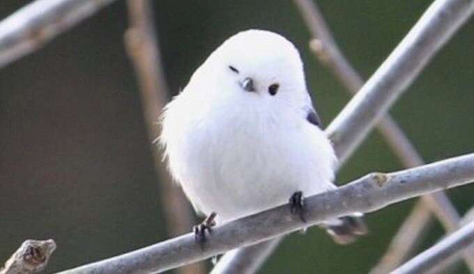 프로필사진