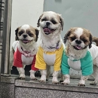 프로필사진