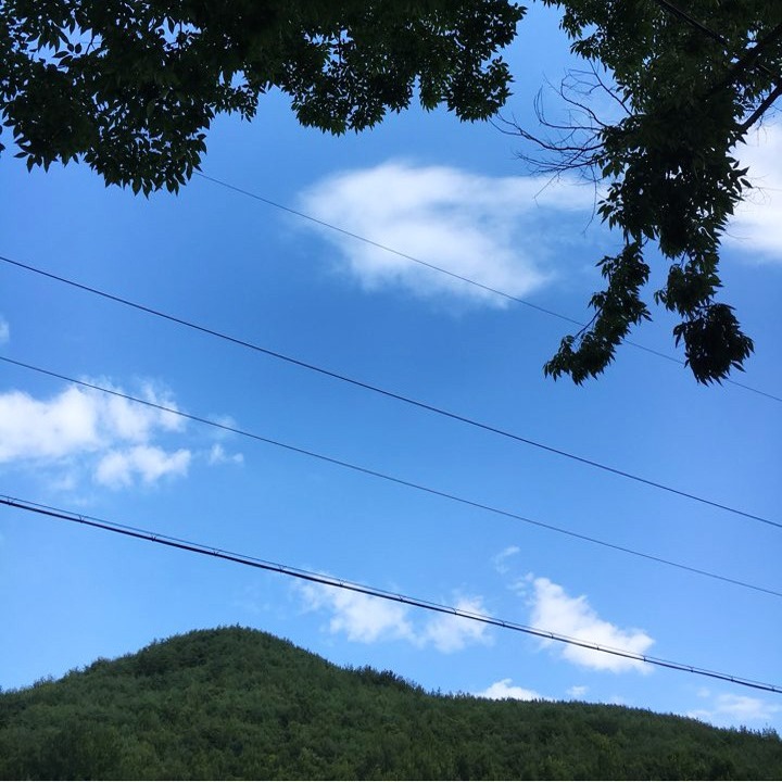 블로그 이미지