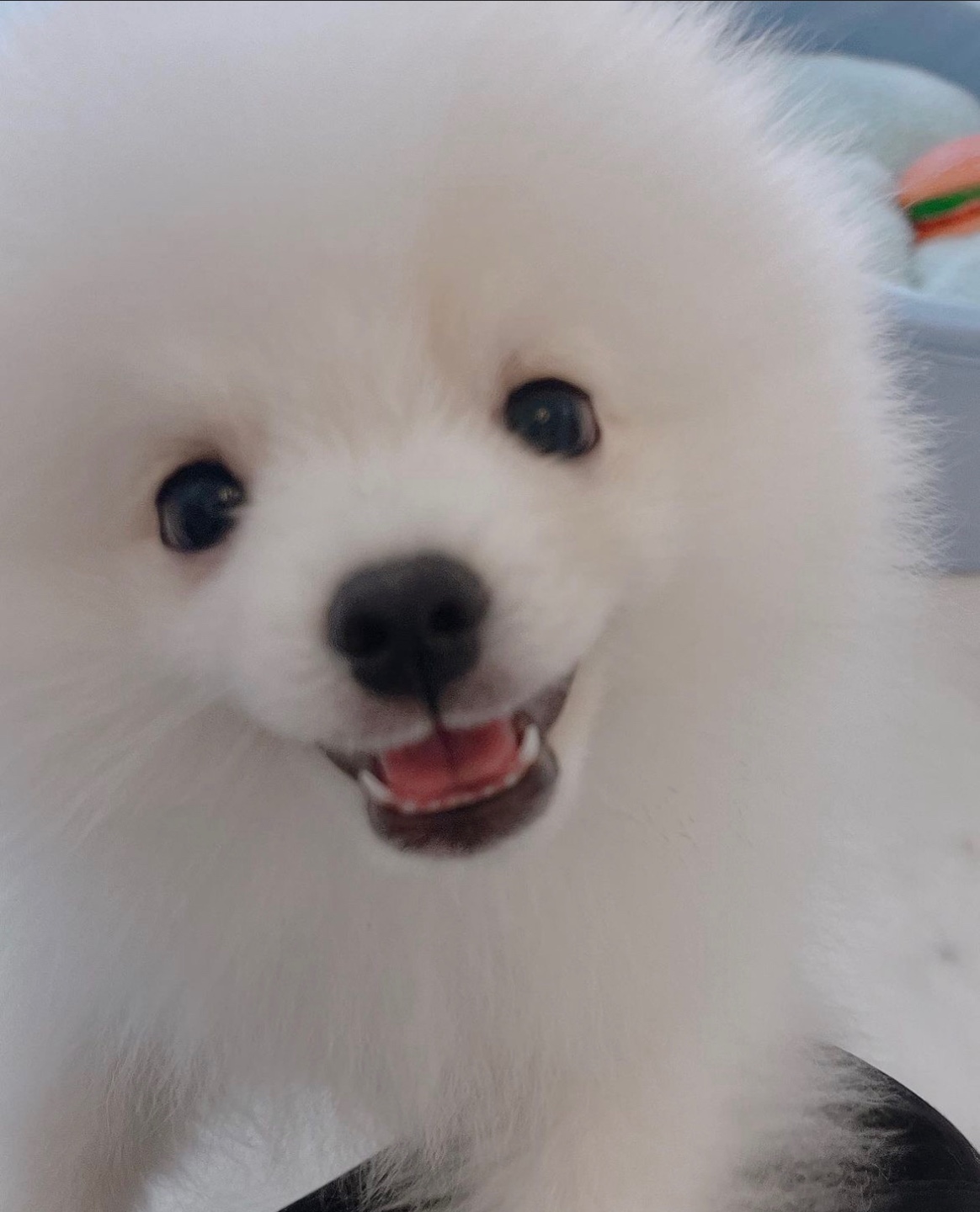 블로그 이미지
