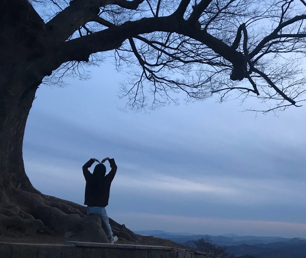 블로그 이미지