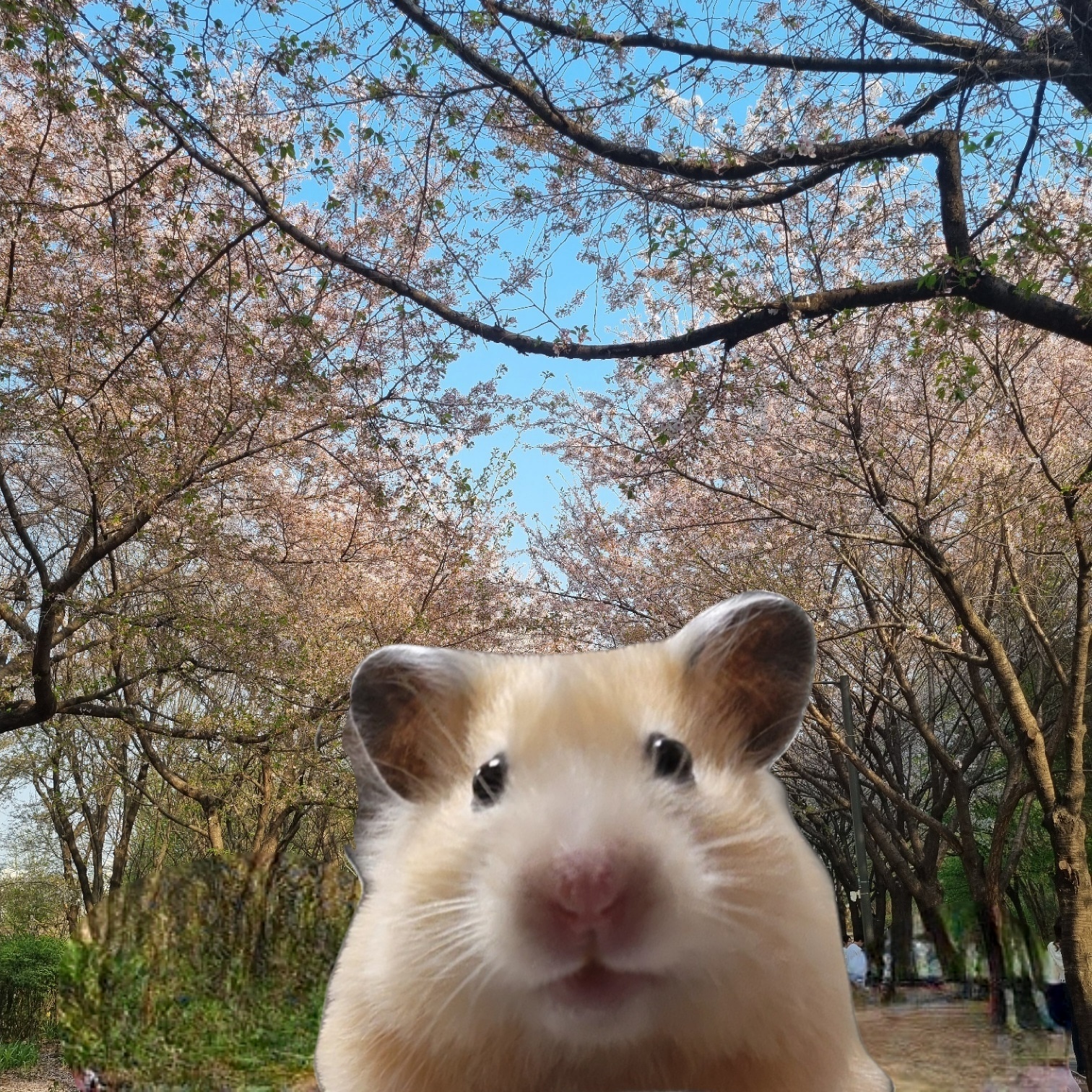프로필사진