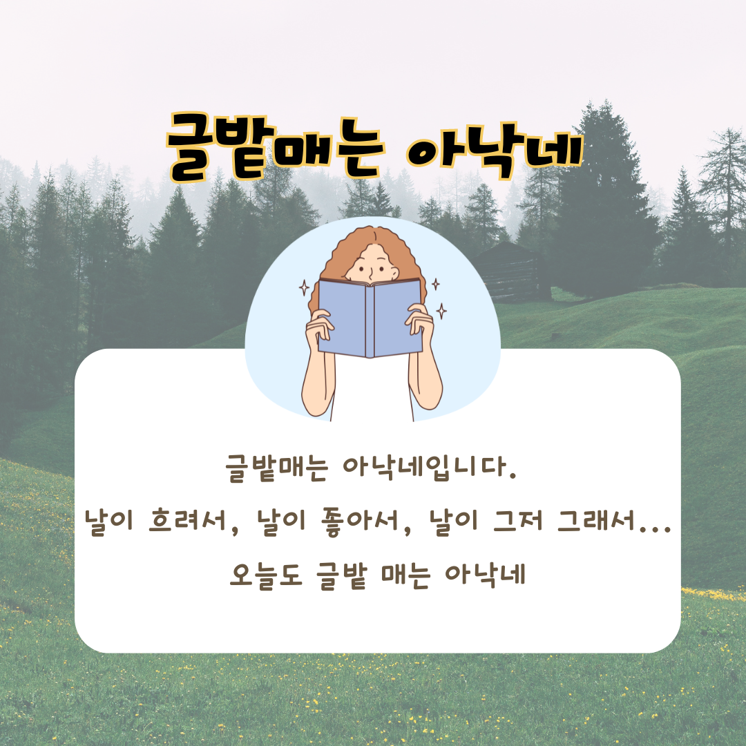 블로그 이미지