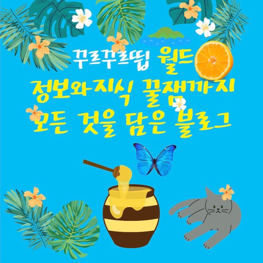 프로필사진