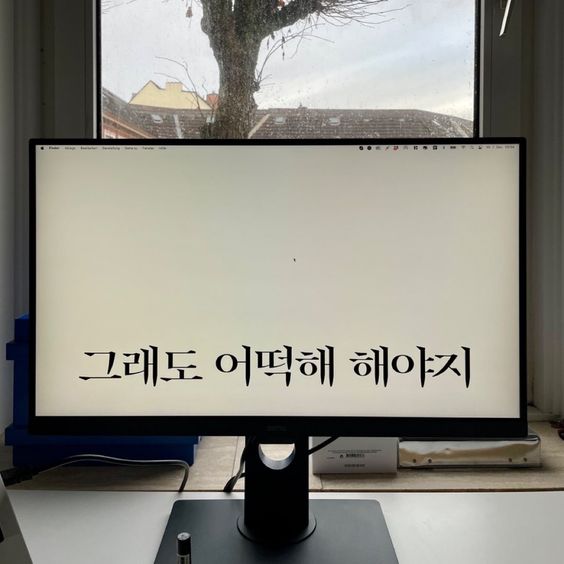 프로필사진