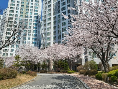 블로그 이미지