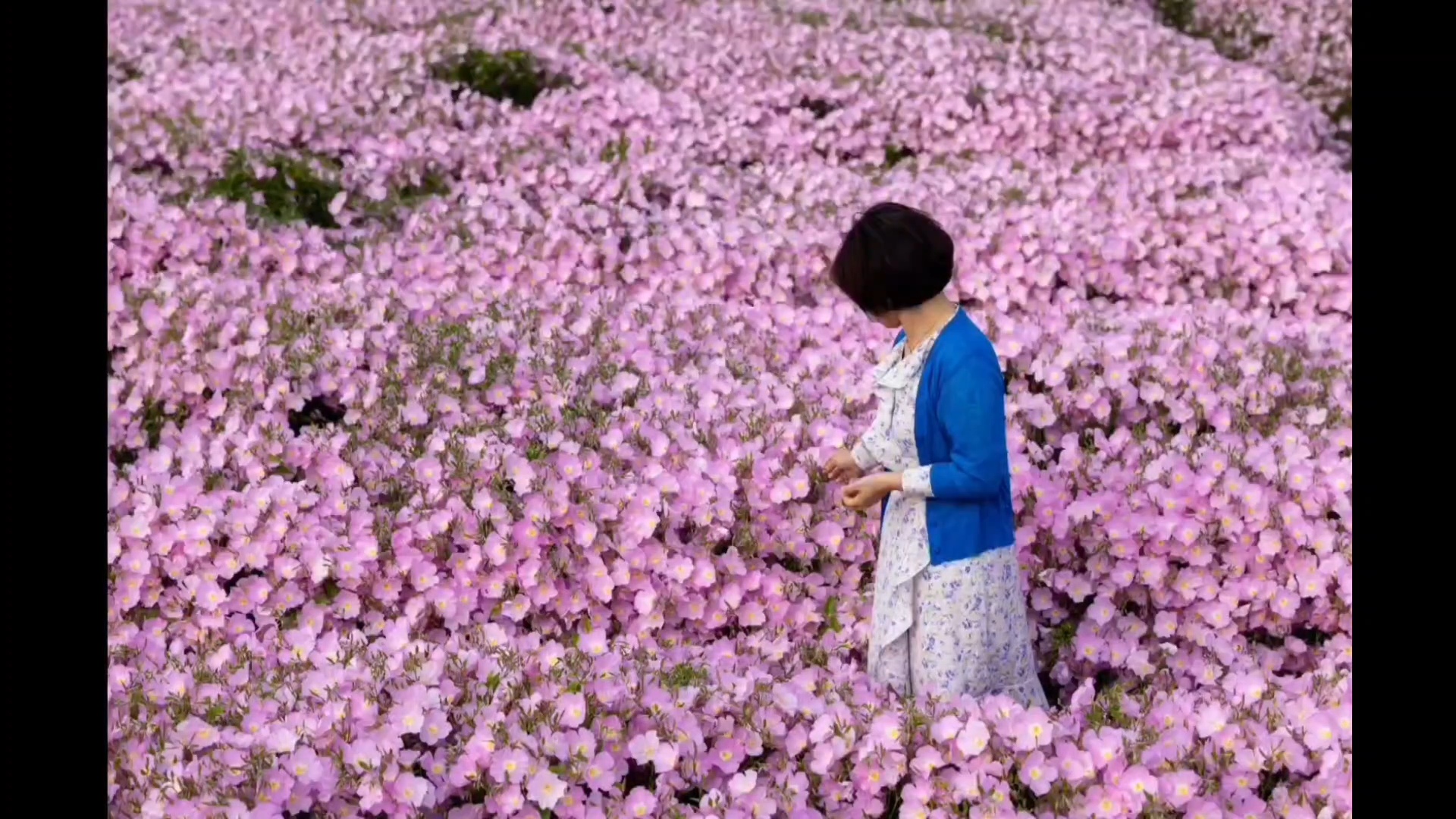 프로필사진