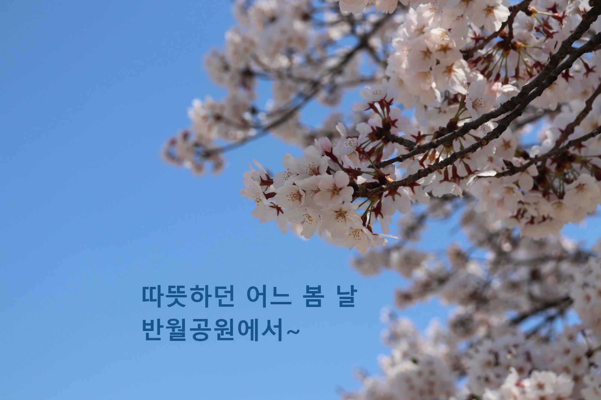 프로필사진