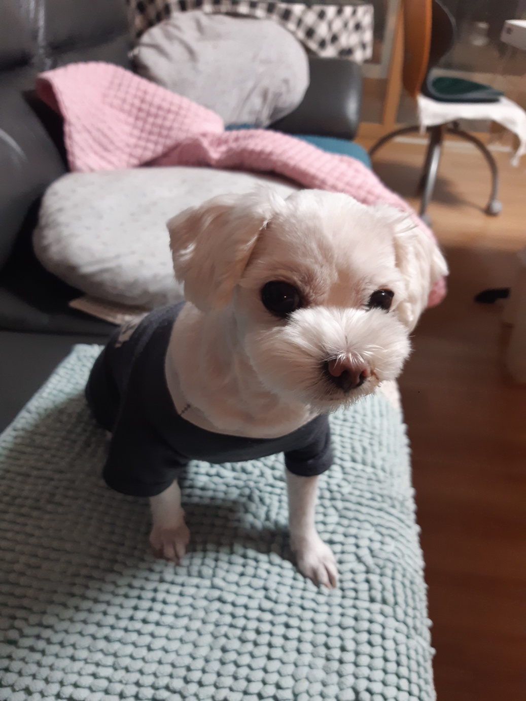 프로필사진