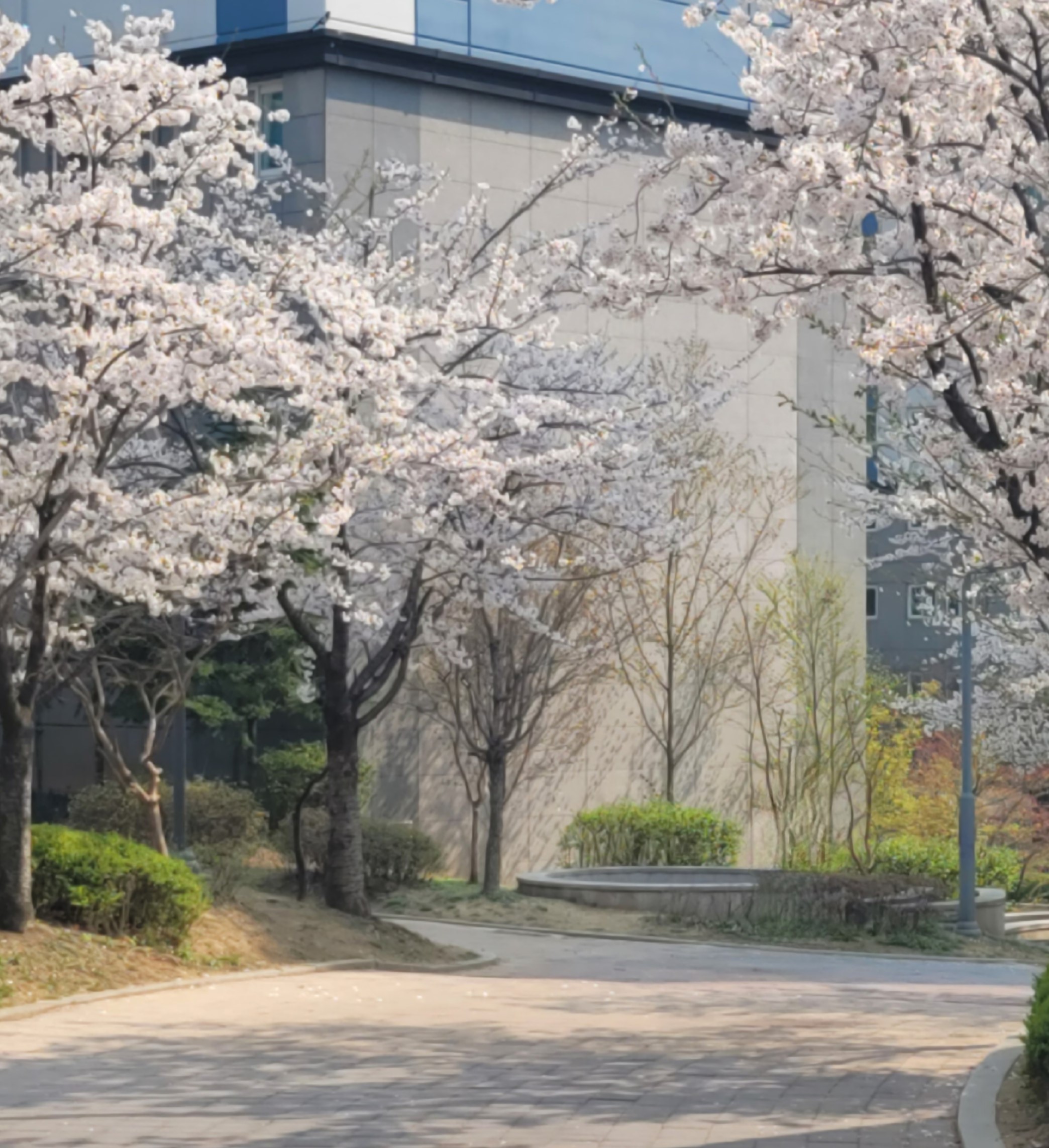 프로필사진