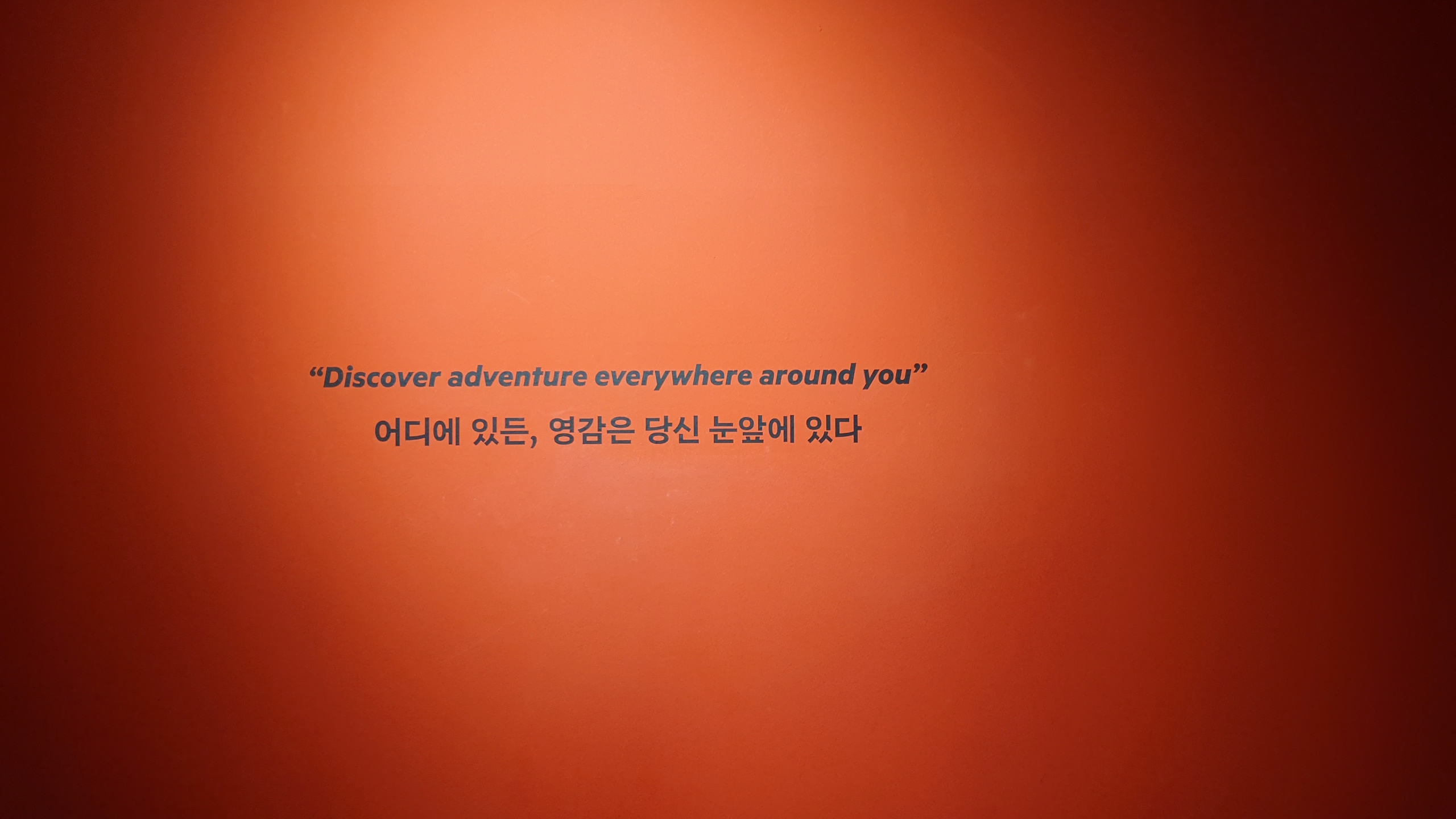 프로필사진