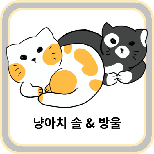 블로그 이미지