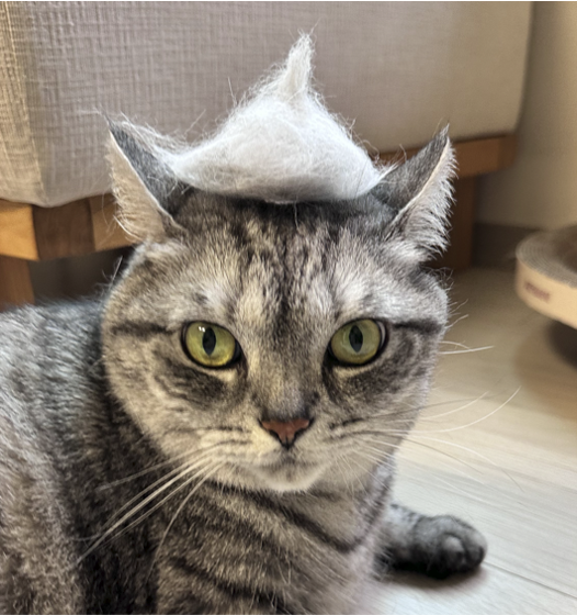 프로필사진