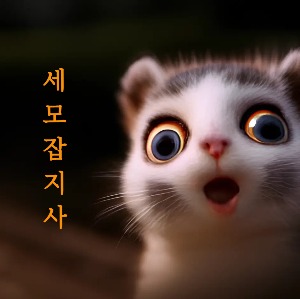 블로그 이미지