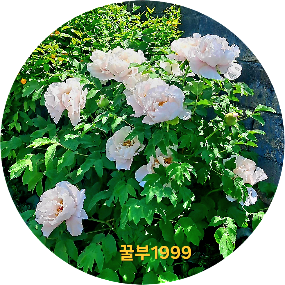 블로그 이미지
