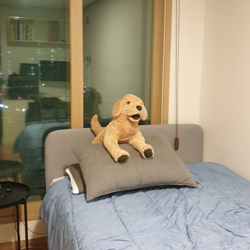 프로필사진