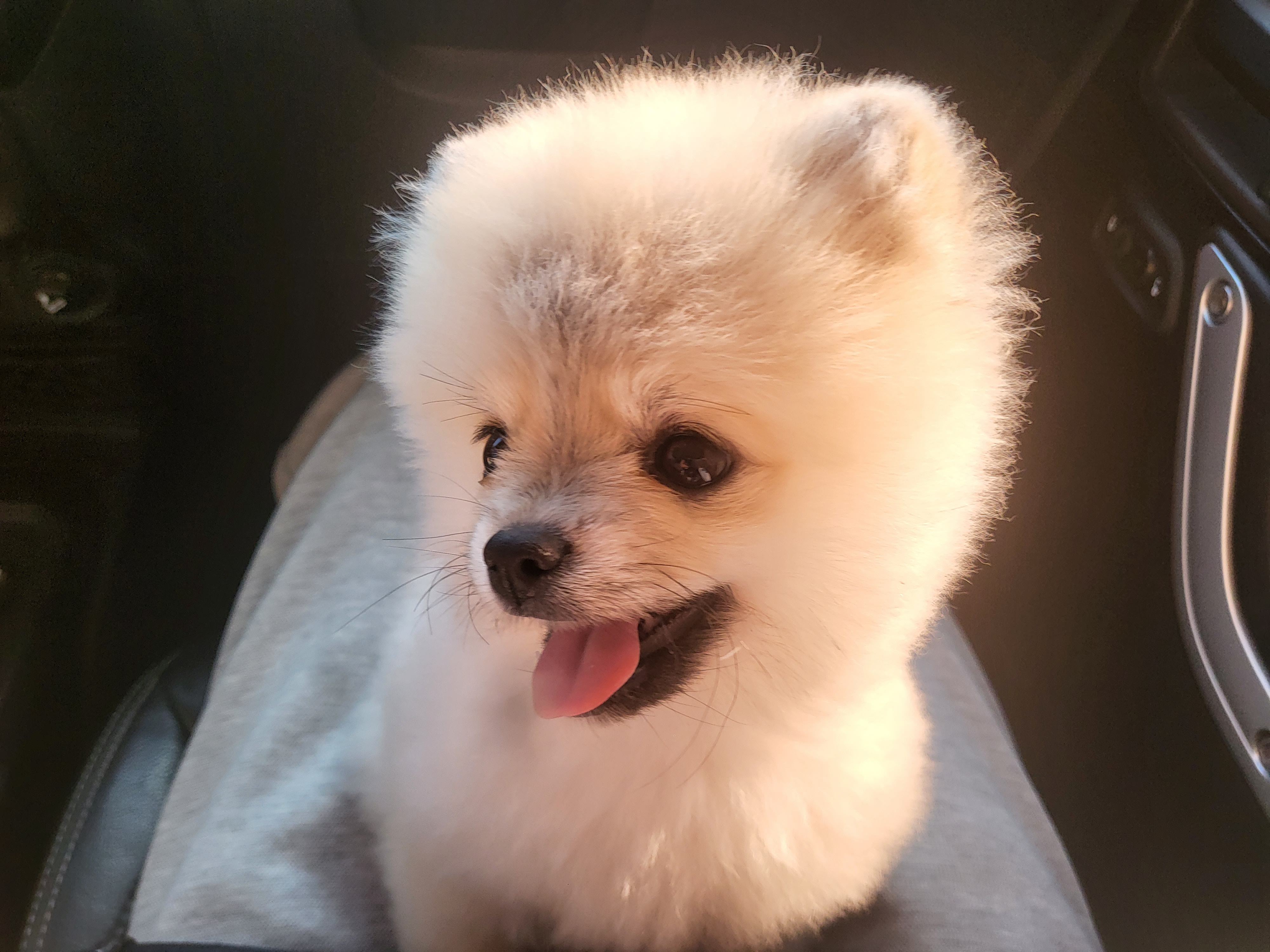 프로필사진