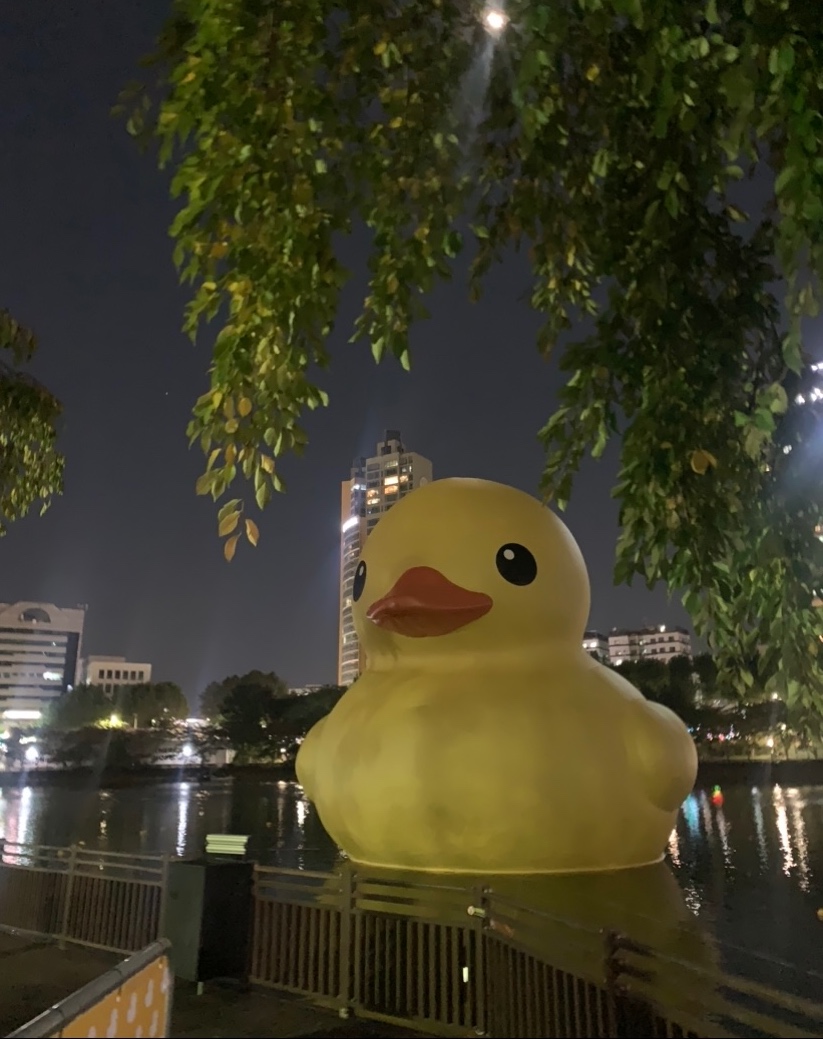 프로필사진
