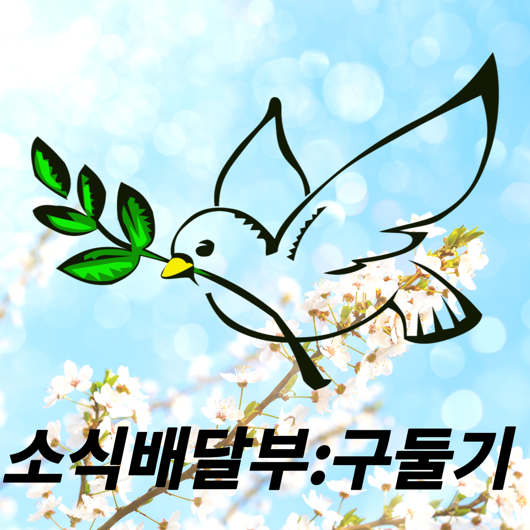 프로필사진