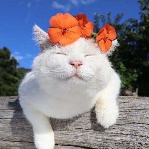 프로필사진