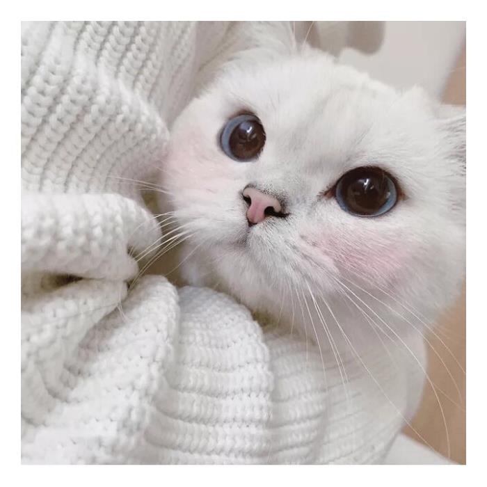 프로필사진