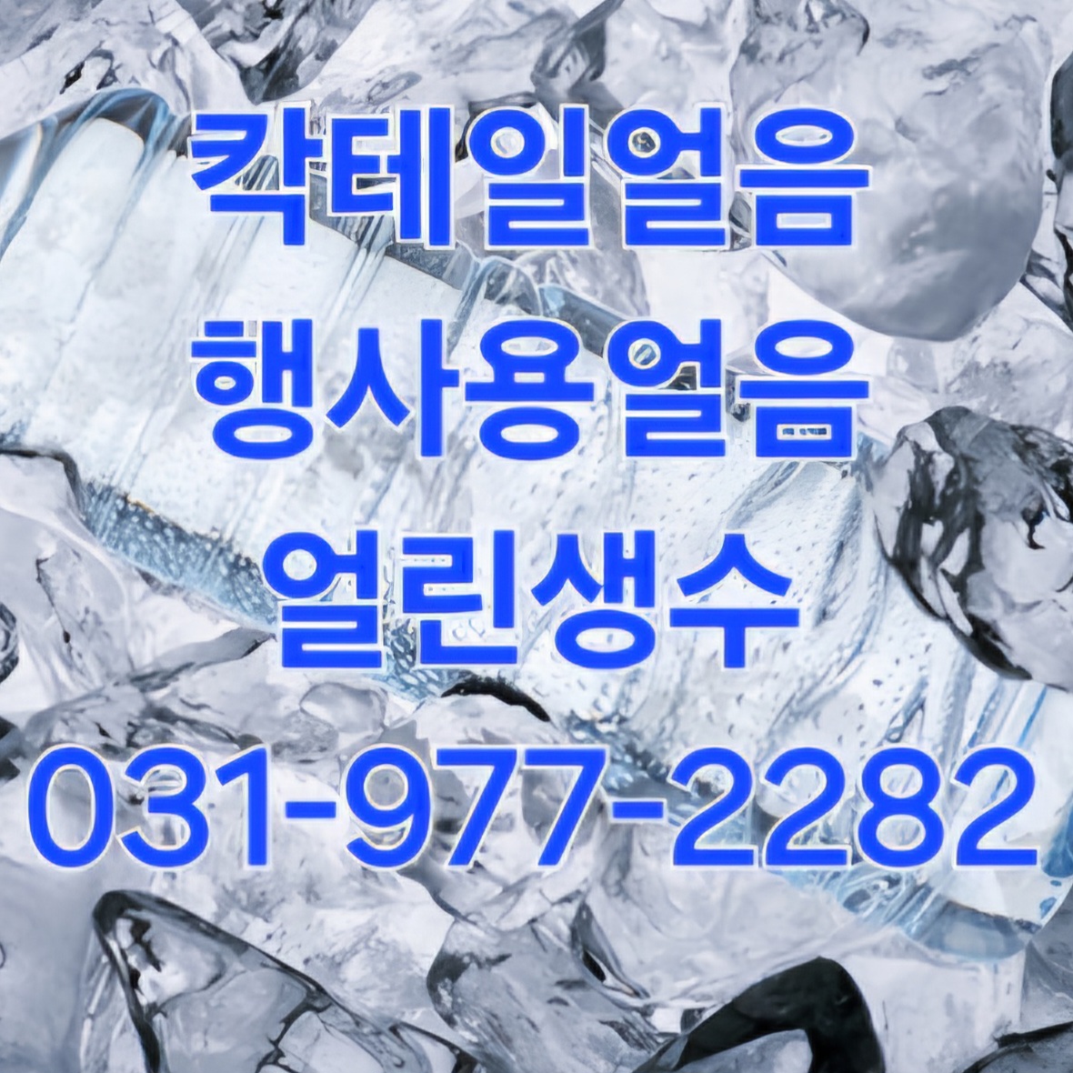 프로필사진