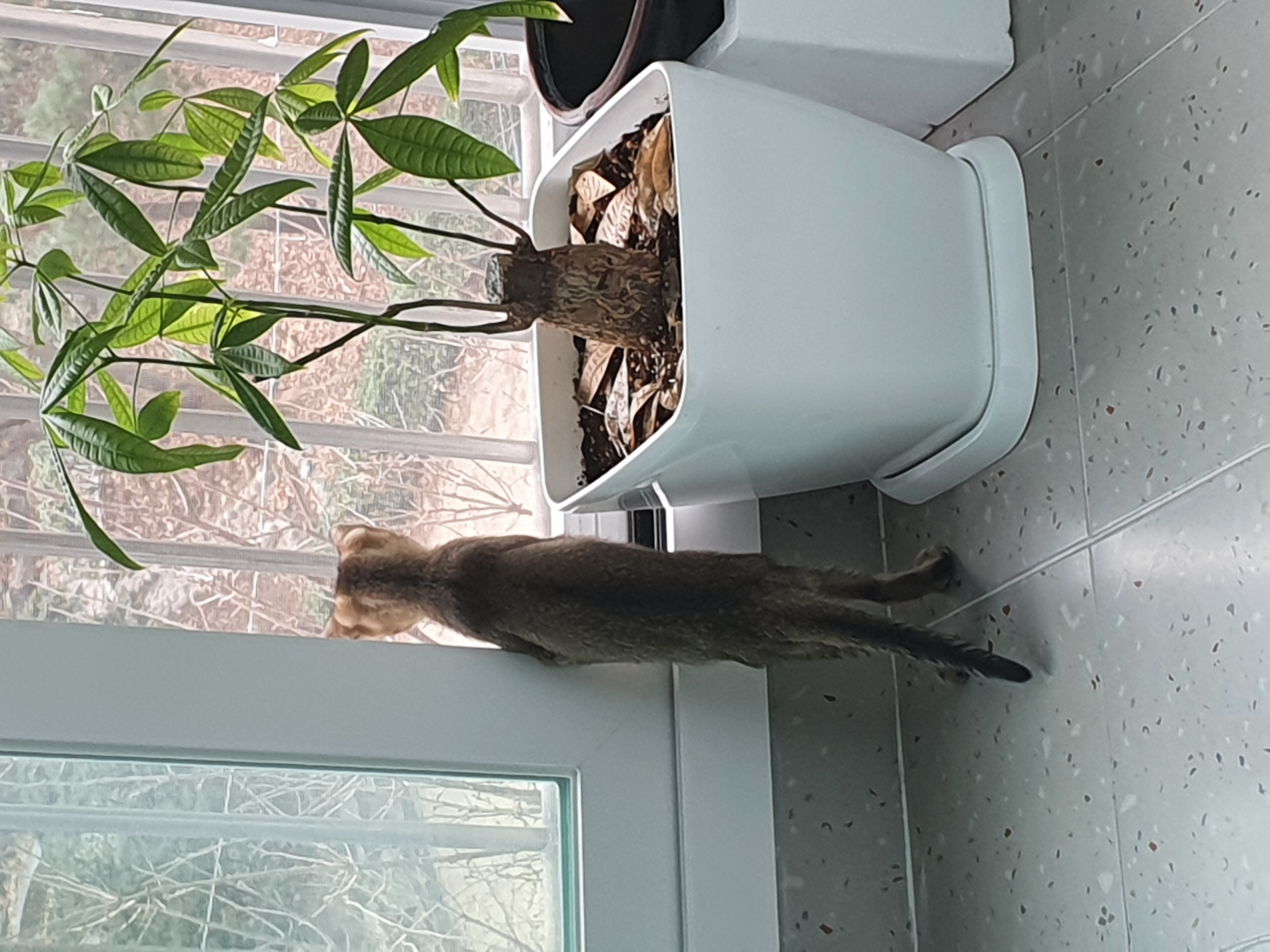 프로필사진
