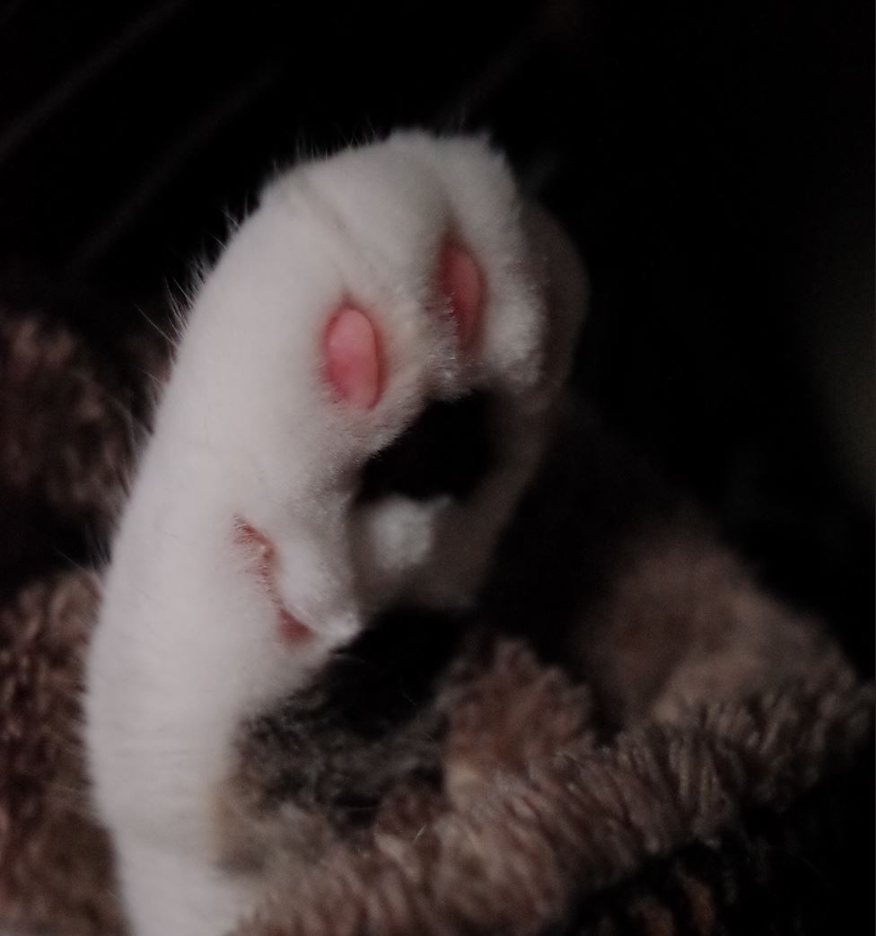 블로그 이미지