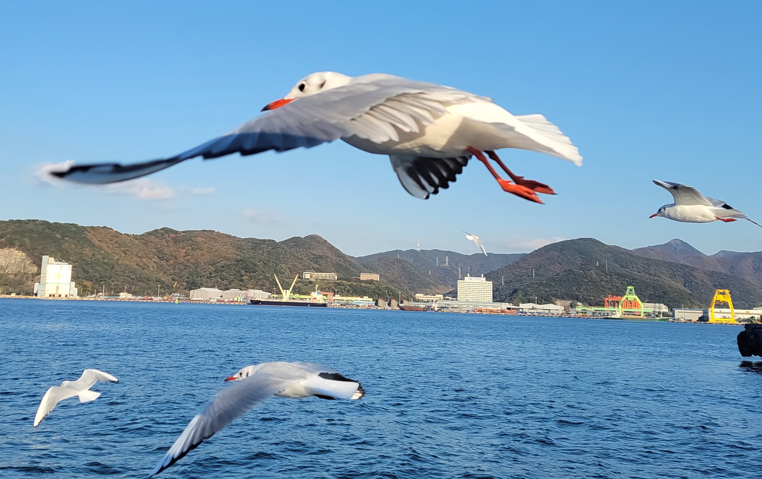 프로필사진