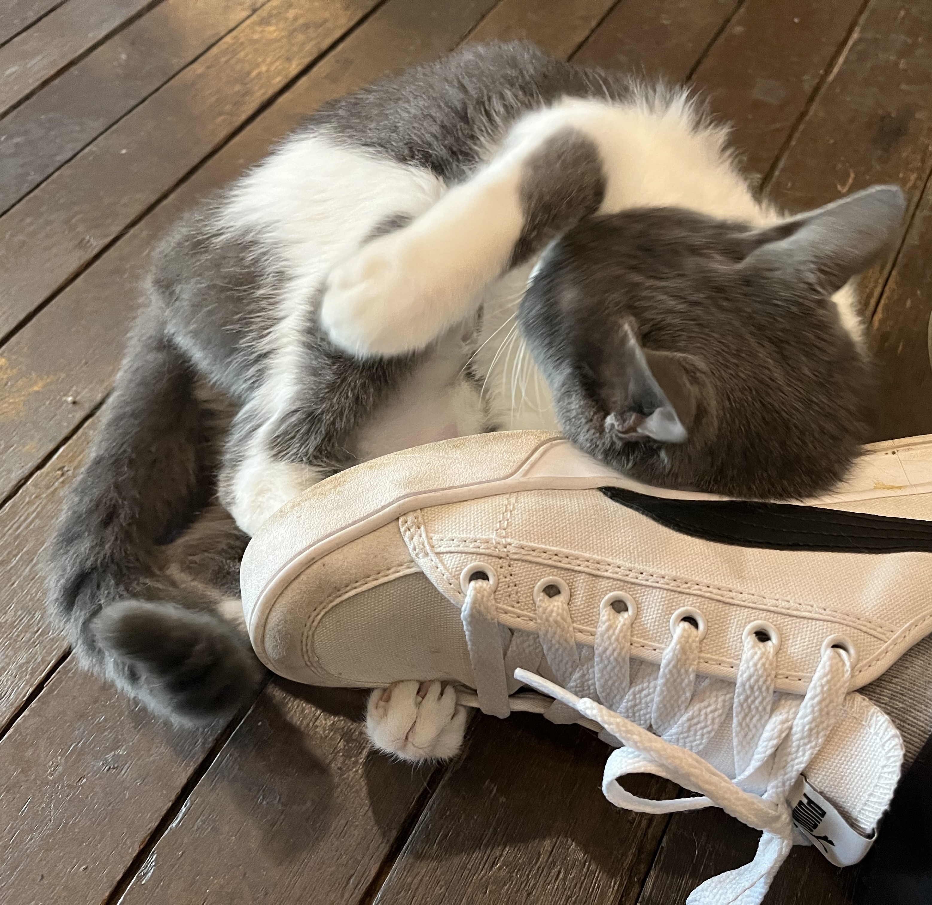 프로필사진