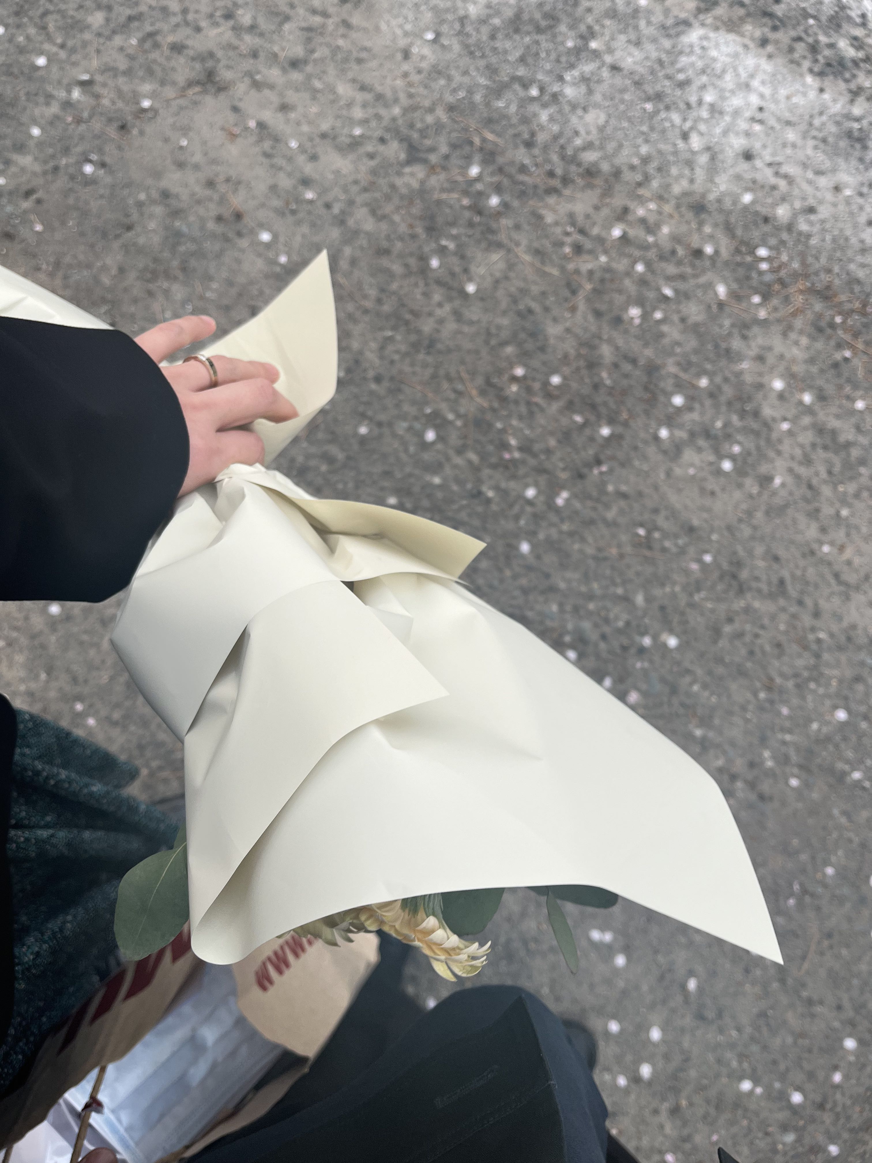 프로필사진