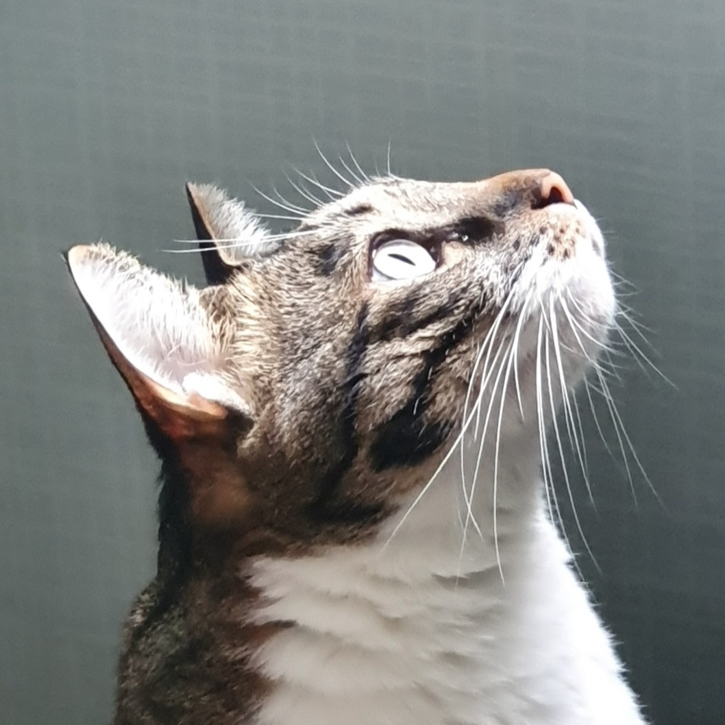 Tistory profile picture for @deprecated